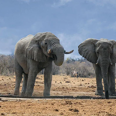 解密Shadowrocket的痛点：为何用户频频吐槽？深度剖析与实战优化指南